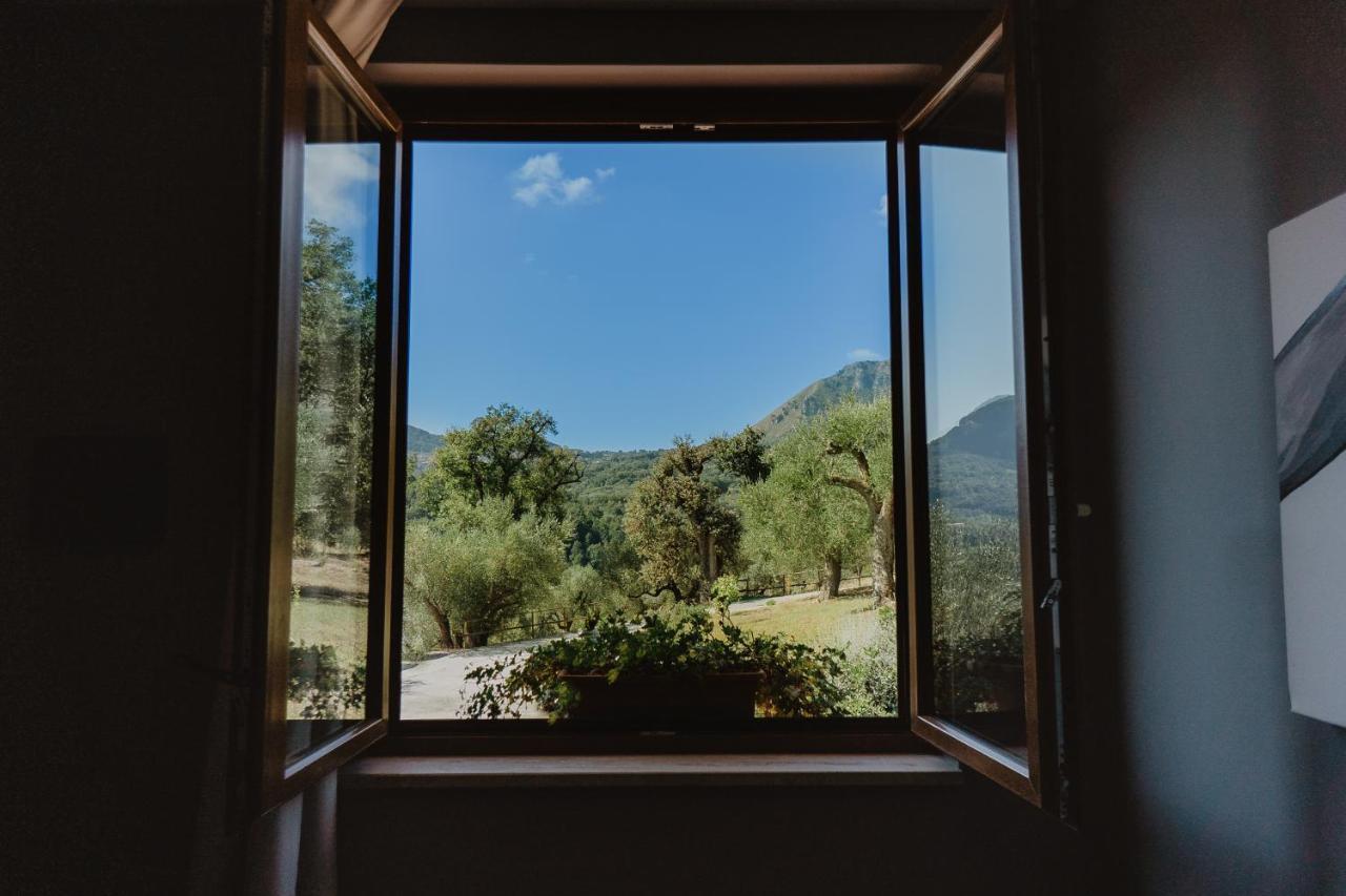 Tenuta Terre Di Bosco Oasi Di Relax Nel Cilento San Giovanni a Piro Exterior foto