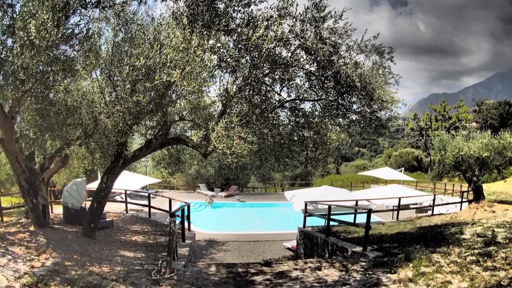 Tenuta Terre Di Bosco Oasi Di Relax Nel Cilento San Giovanni a Piro Exterior foto